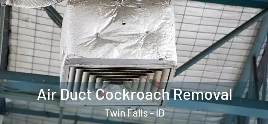 Air Duct Cockroach Removal Twin Falls - ID