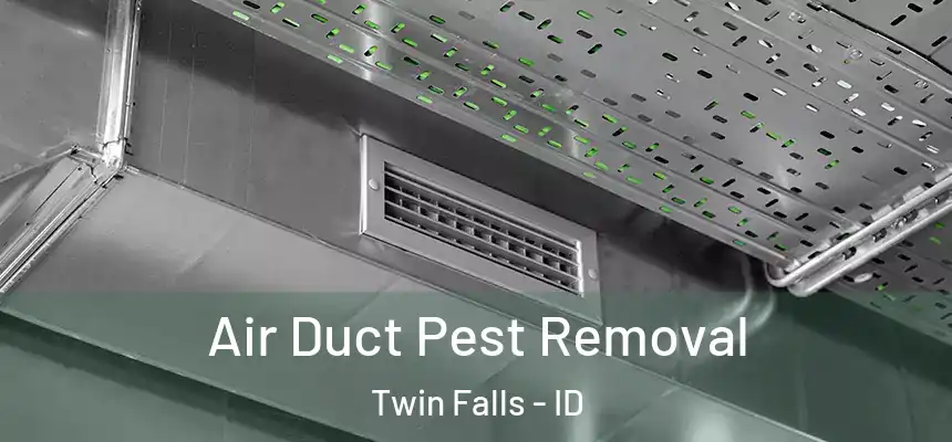 Air Duct Pest Removal Twin Falls - ID