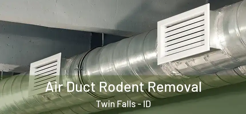Air Duct Rodent Removal Twin Falls - ID