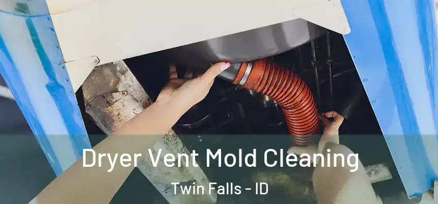Dryer Vent Mold Cleaning Twin Falls - ID