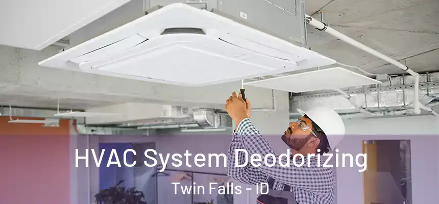 HVAC System Deodorizing Twin Falls - ID