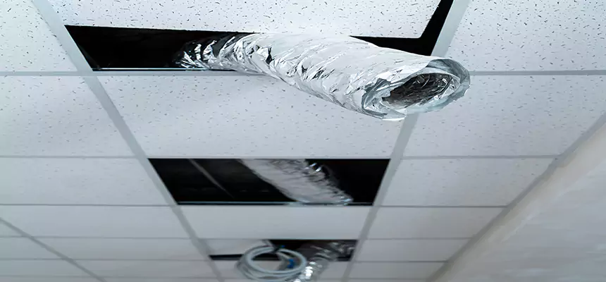 Affordable HVAC Sanitizing After Pest Removal in Twin Falls