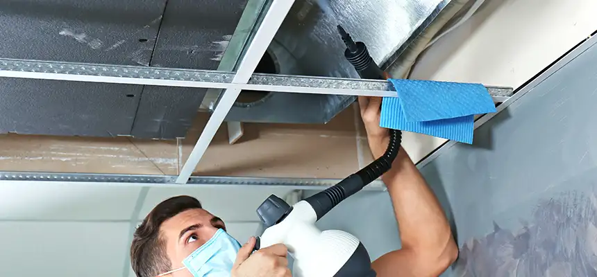 Our Air Duct Rodent Removal Services in Twin Falls, ID