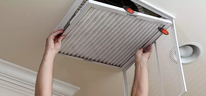 Our Insect Removal from Air Ducts Services in Twin Falls, ID