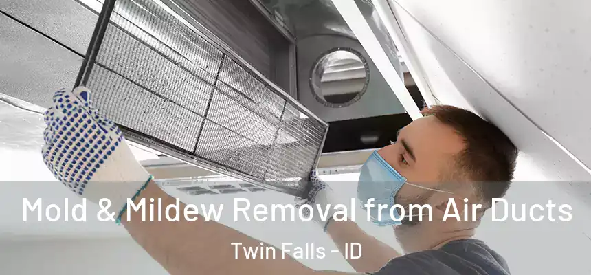  Mold & Mildew Removal from Air Ducts Twin Falls - ID