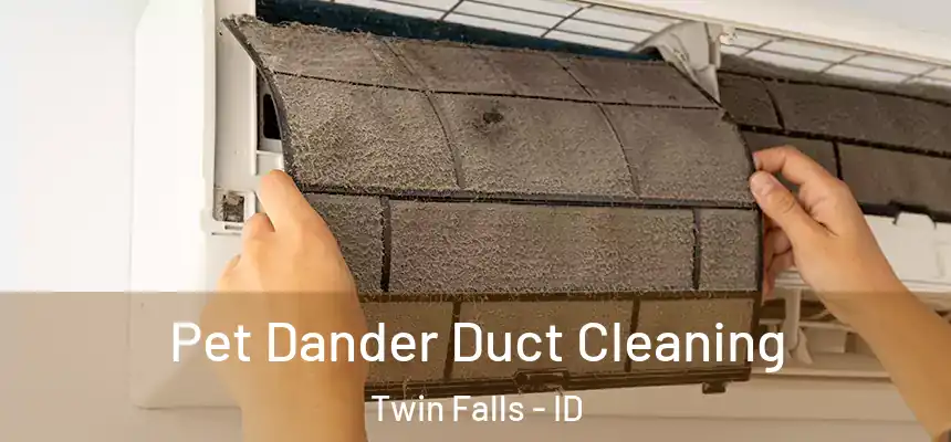 Pet Dander Duct Cleaning Twin Falls - ID