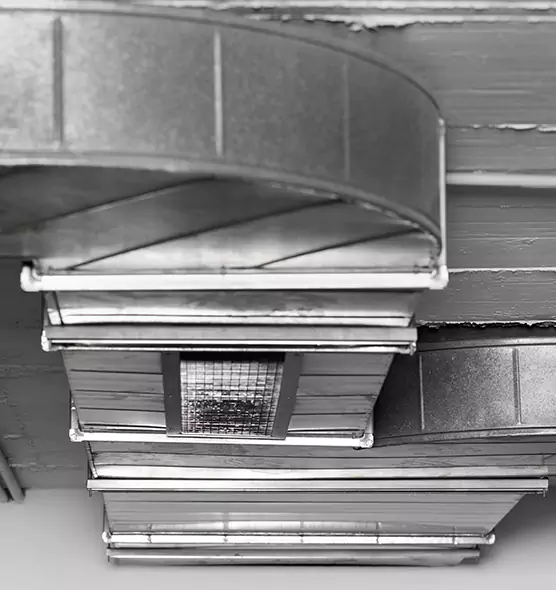 Professional Air Duct Pet Hair Removal in Twin Falls, ID