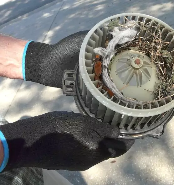 About Air Duct Rat Removal in Twin Falls, ID