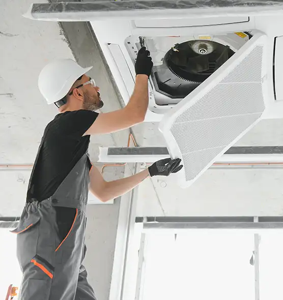 About Air Duct Rodent Removal in Twin Falls, ID