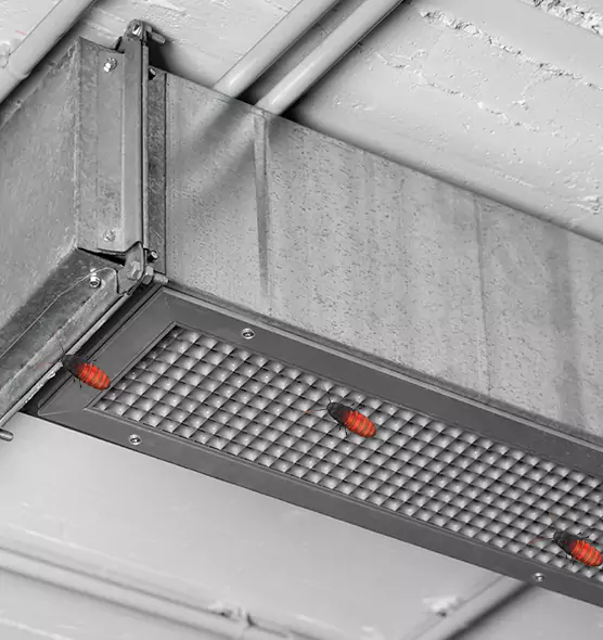 Affordable Insect Removal from Air Ducts in Twin Falls, ID