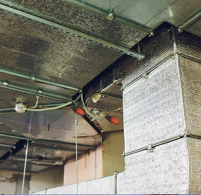 Why Homeowners & Businesses Trust Us in Twin Falls, ID?