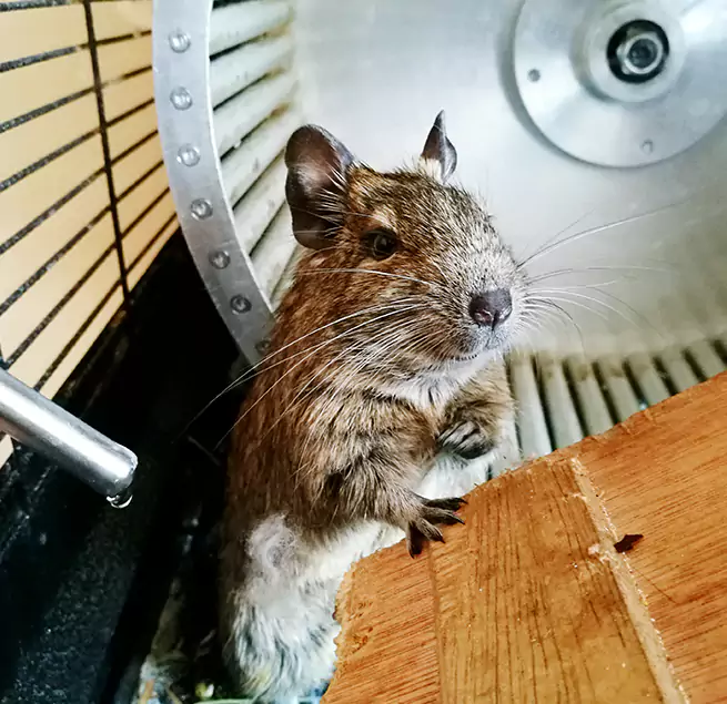 Why Homeowners & Businesses Trust Us Twin Falls, ID?