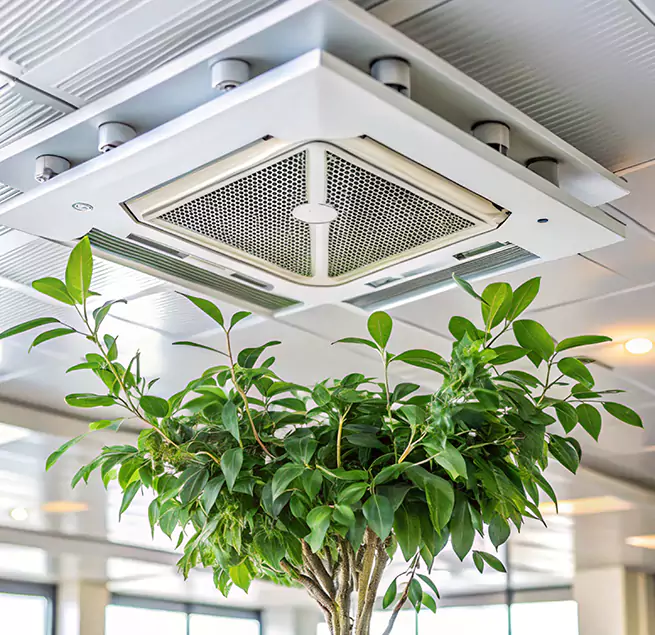 Why Homeowners & Businesses Trust Us in Twin Falls, ID?